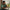 Morning Person: Vinodhan Veloo